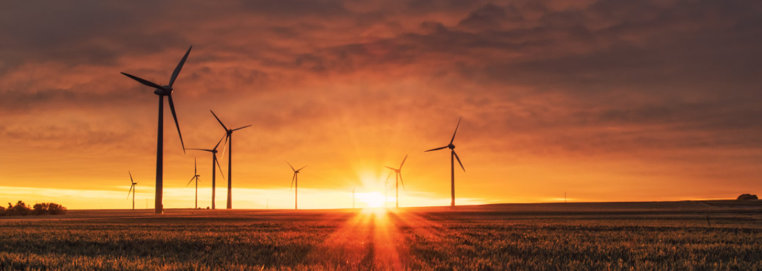 Regulators Tackling Companies Over 'Greenwashing' The Directors Choice