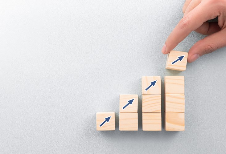 Growing Your Business Organically Or Through Acquisition