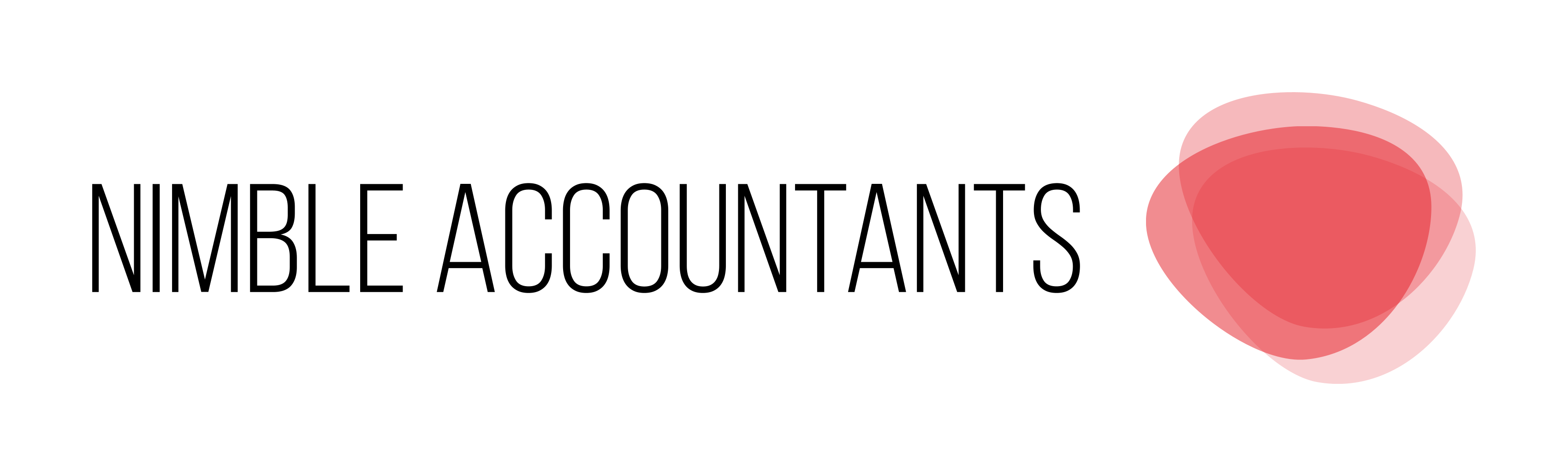 Nimble Accountants - The Directors Choice