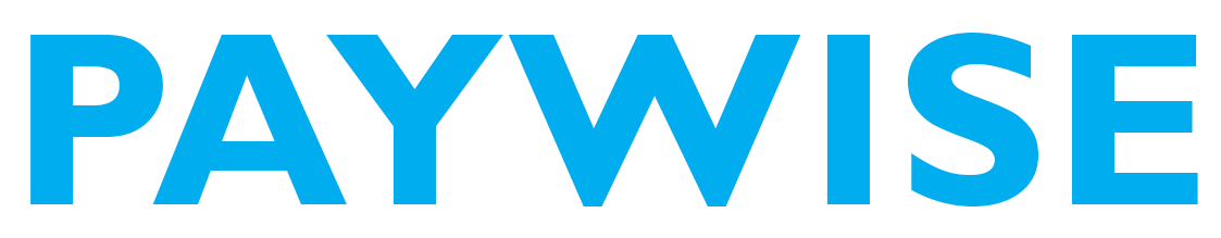 Paywise Logo - The Directors Choice
